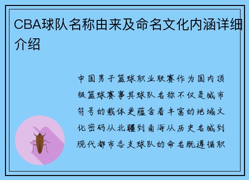 CBA球队名称由来及命名文化内涵详细介绍